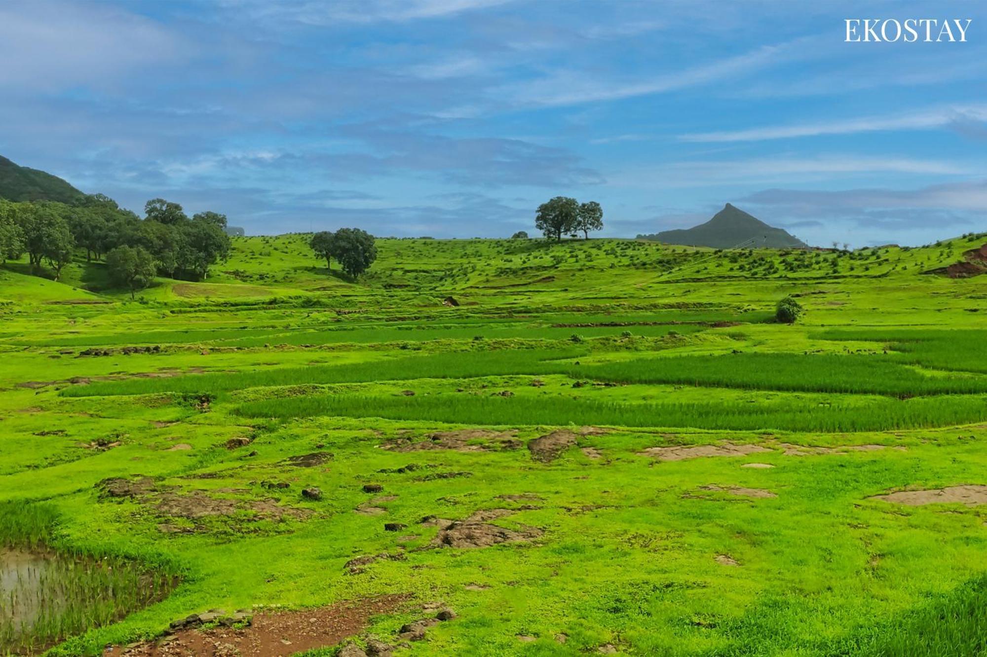 Ekostay - Neptune Villa Igatpuri Exteriör bild